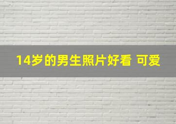 14岁的男生照片好看 可爱